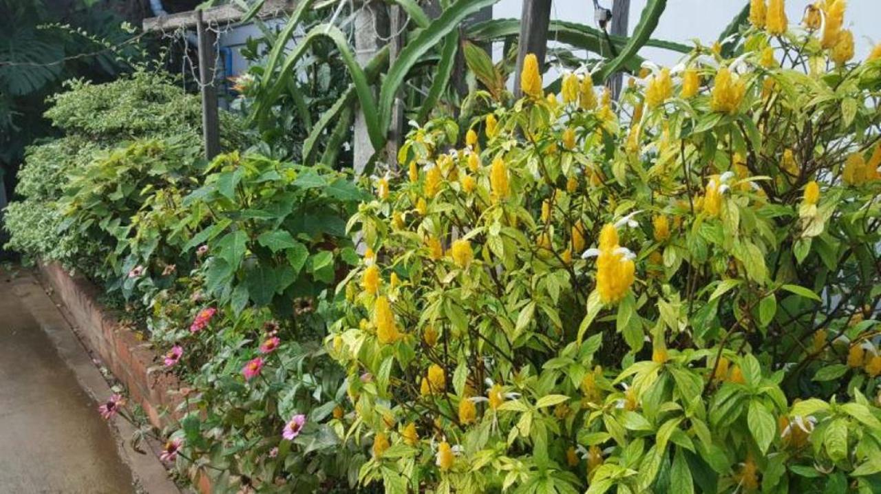 Maymyo Sa Khan Tha Hotel Pyin Oo Lwin Extérieur photo